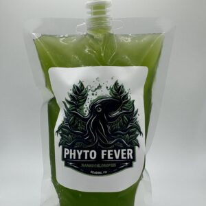 Phytoplankton - Nannochloropsis