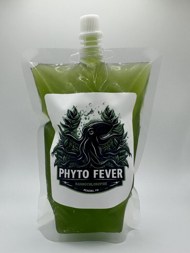 Phytoplankton - Nannochloropsis